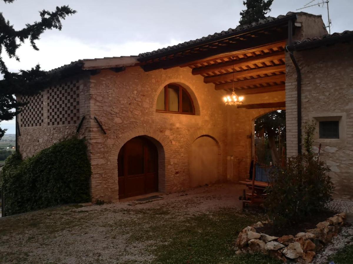 Corte Fratini Appartamenti 特雷维 外观 照片