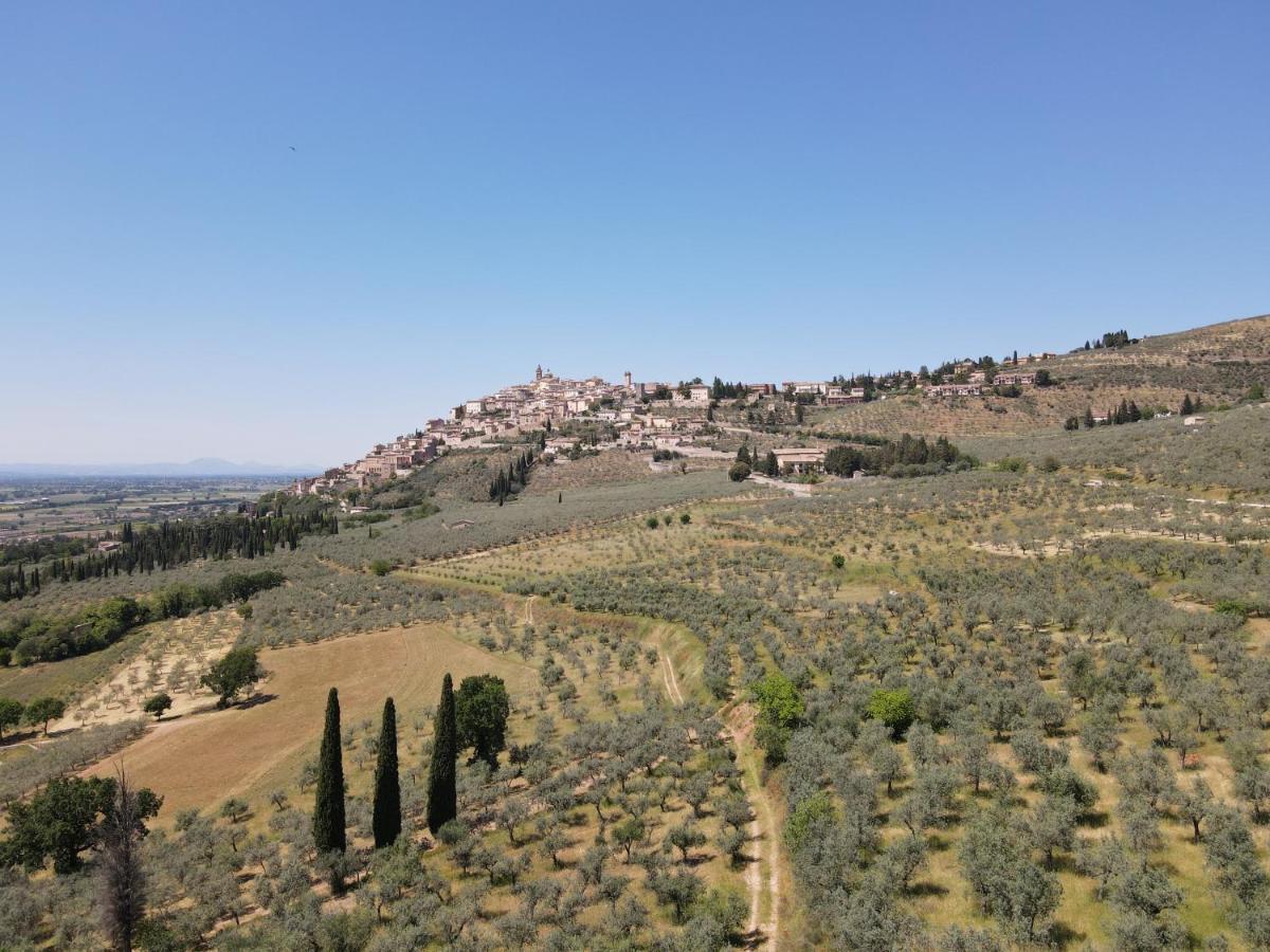 Corte Fratini Appartamenti 特雷维 外观 照片